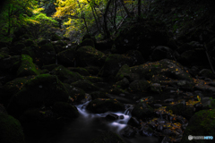 Light and shadow