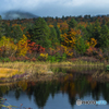 In autumn ～ Hakkoda