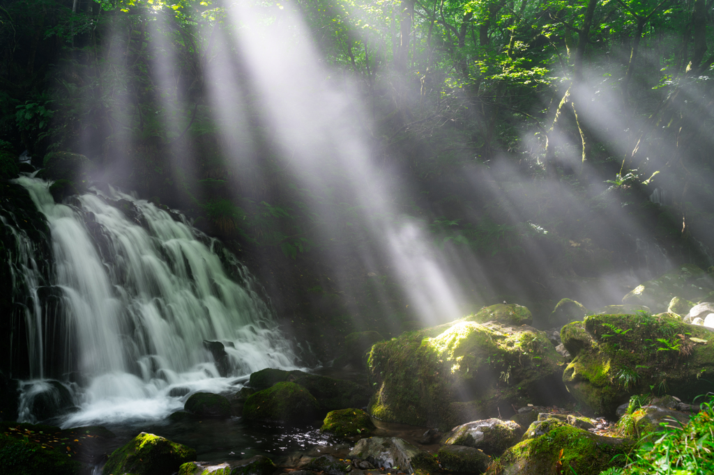 Shining light