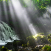 Shining light