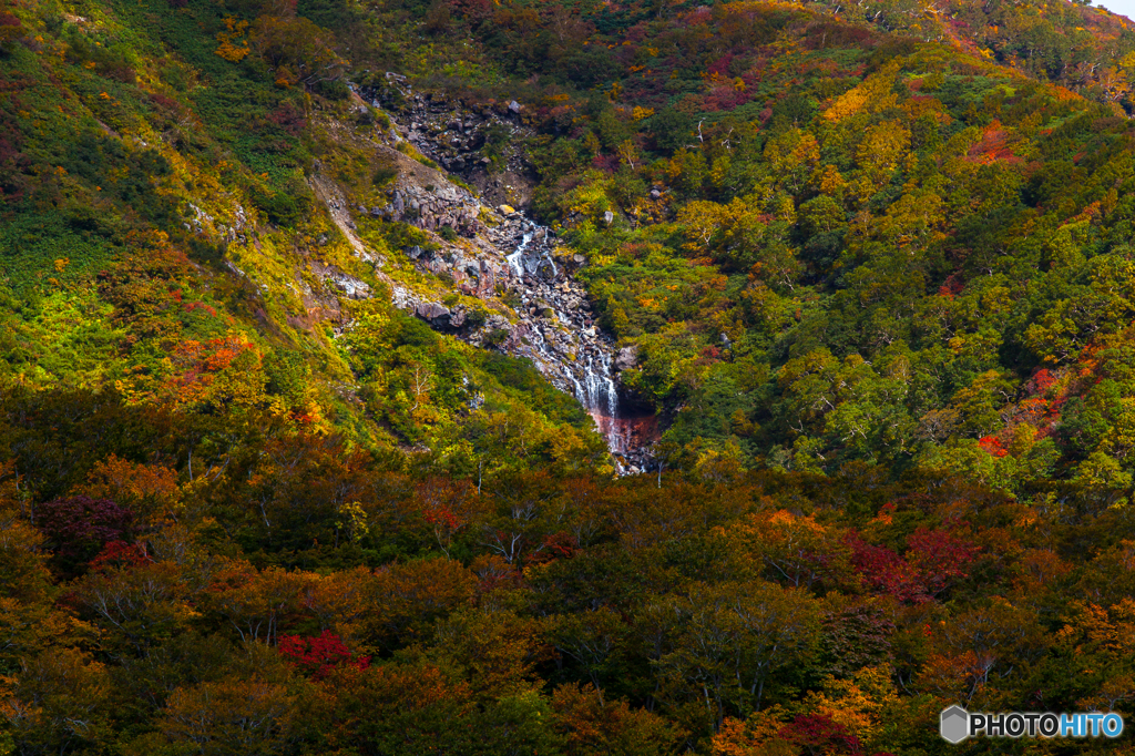 Brocade and waterfall