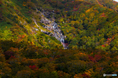 Brocade and waterfall