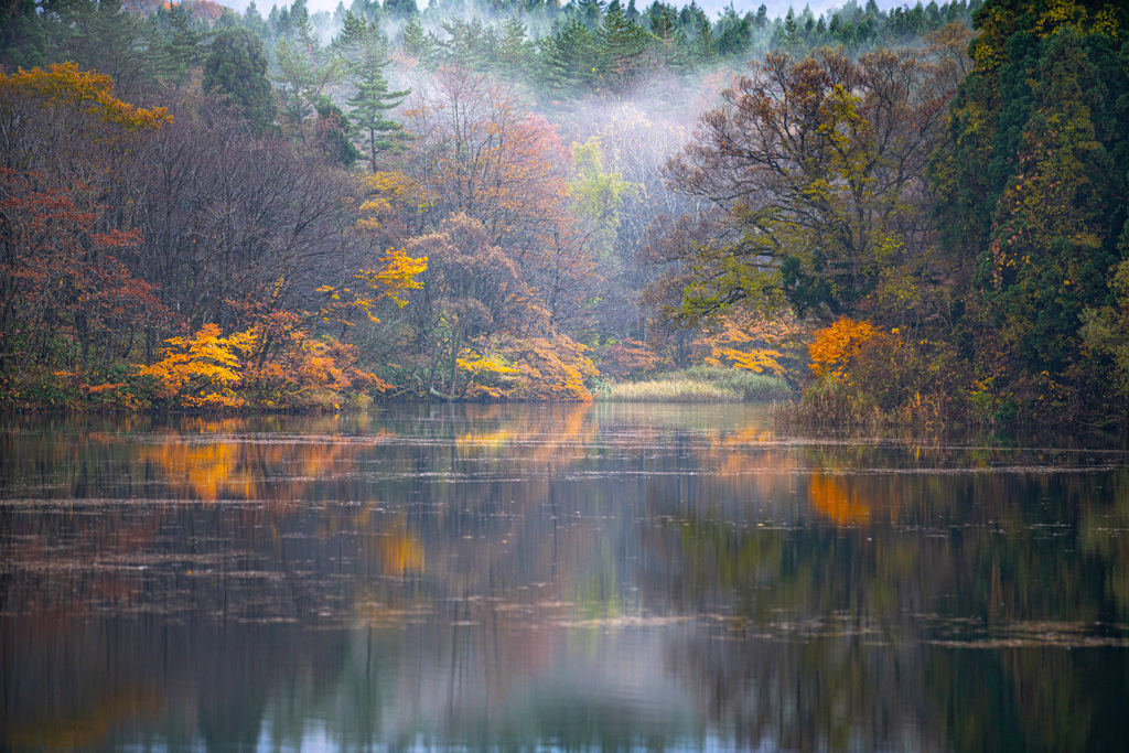 Late autumn color