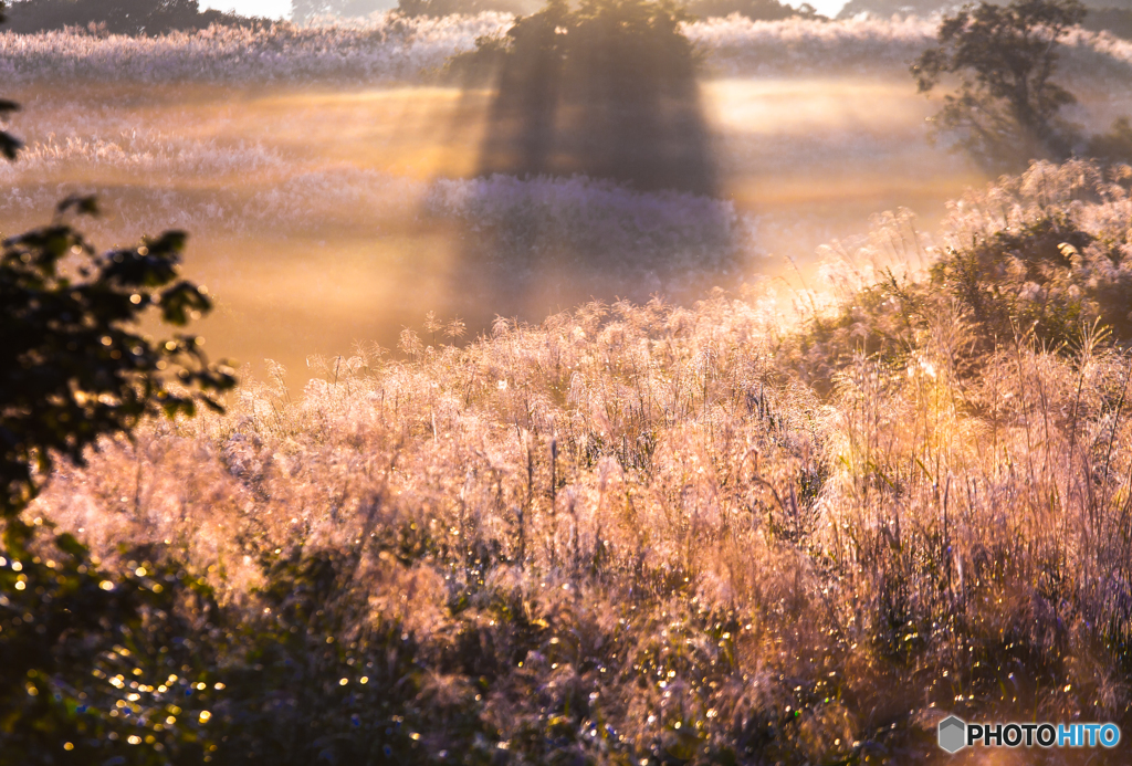 Autumnal scenery ~ Toushi