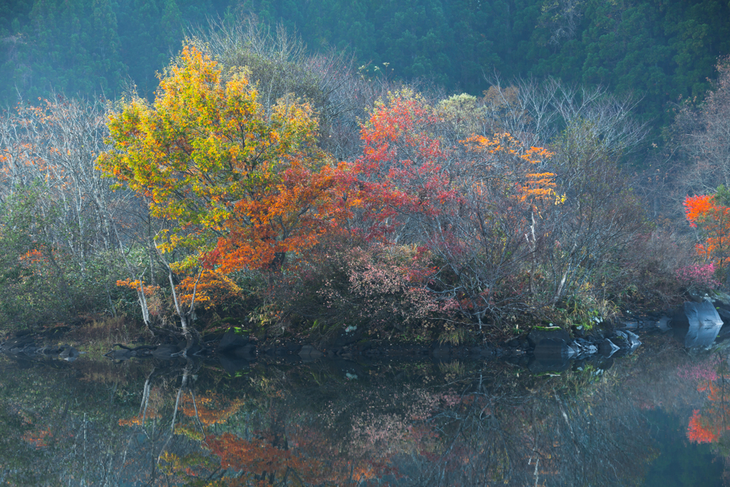 Autumn color 〜 Toushi
