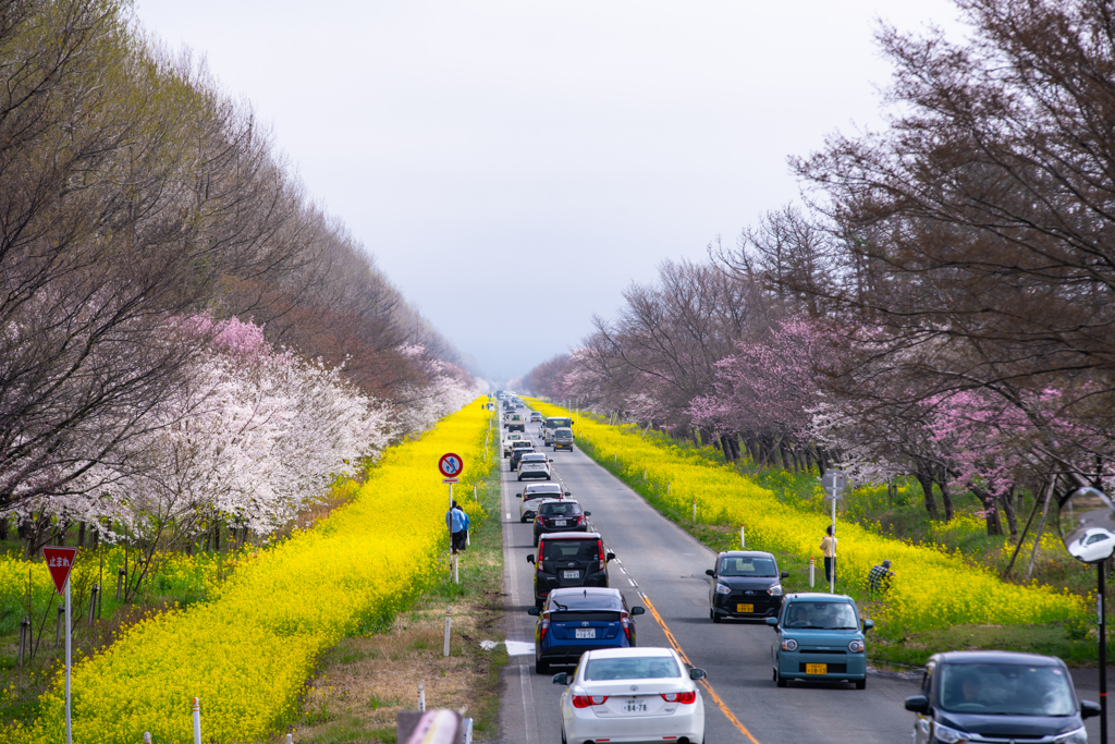 convoy