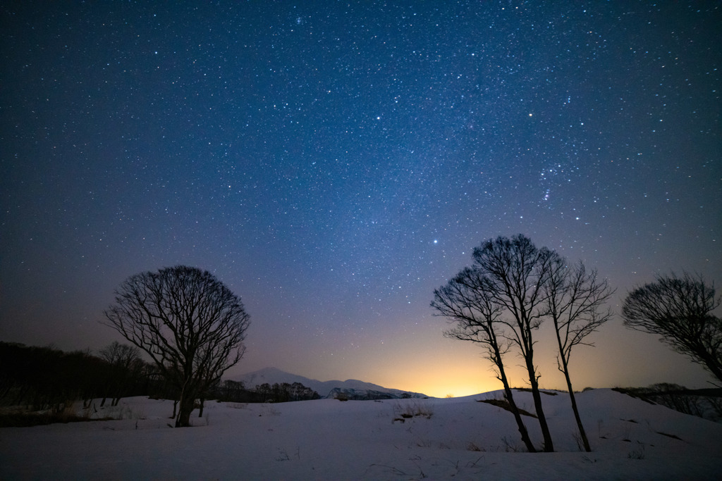 Night on the snowy field