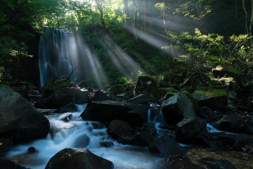 Morning light