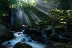 Morning light