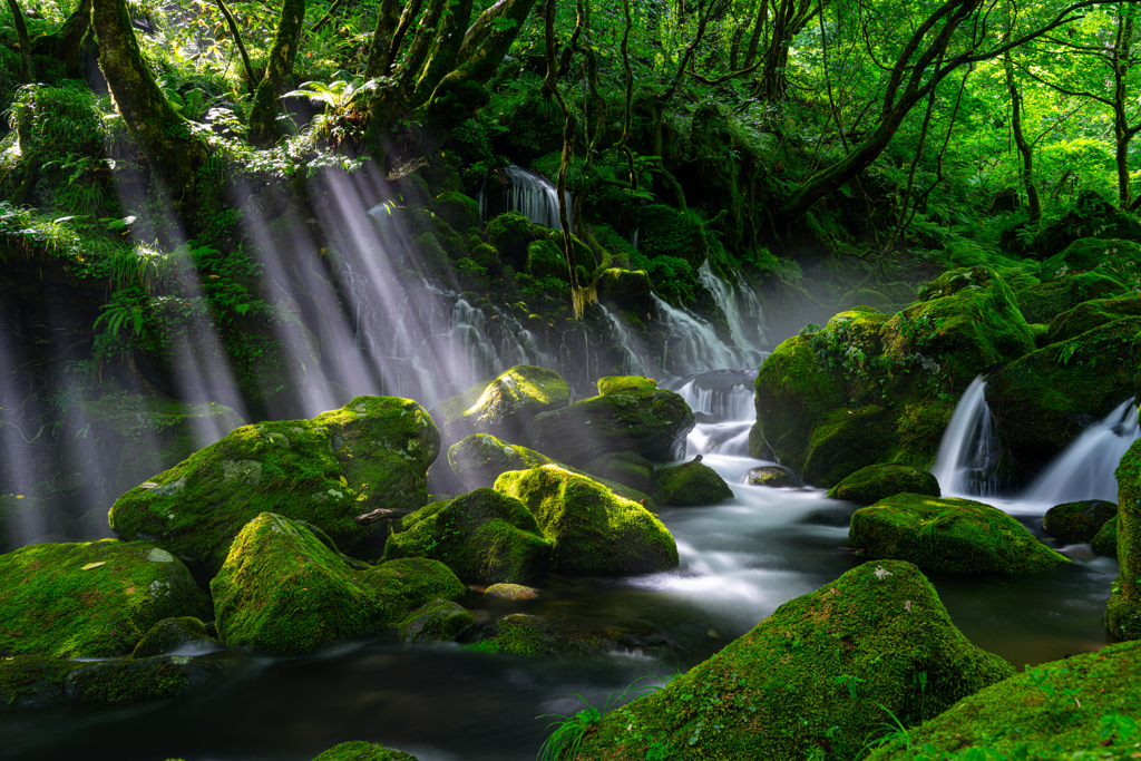 Light and stream
