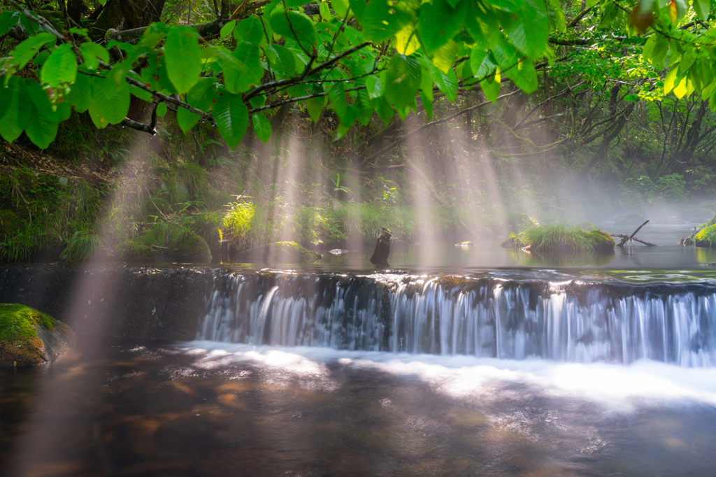 Morning light