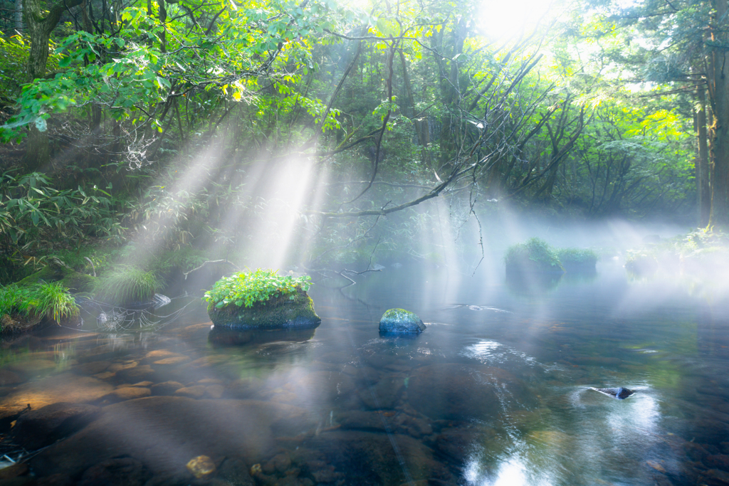 Morning moment