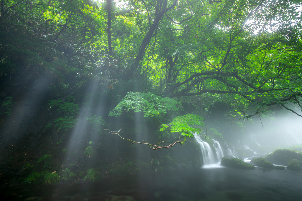 Light and fog