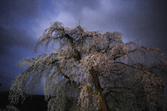 Thunder　light