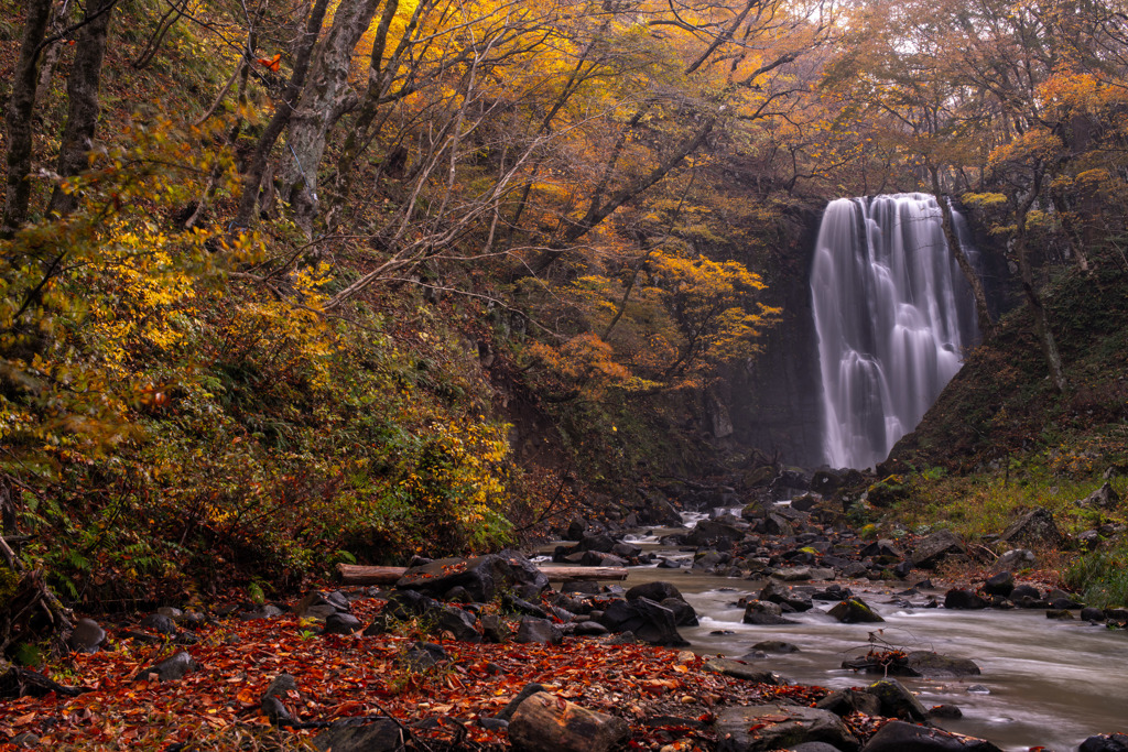 Late autumn color