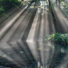 reflection