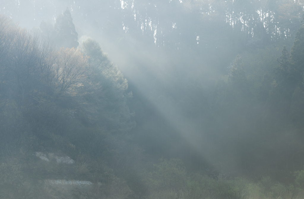 Light and shadow 2