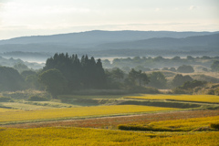 Autumn view