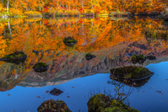 Autumn mirror