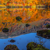 Autumn mirror