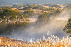 Autumn morning