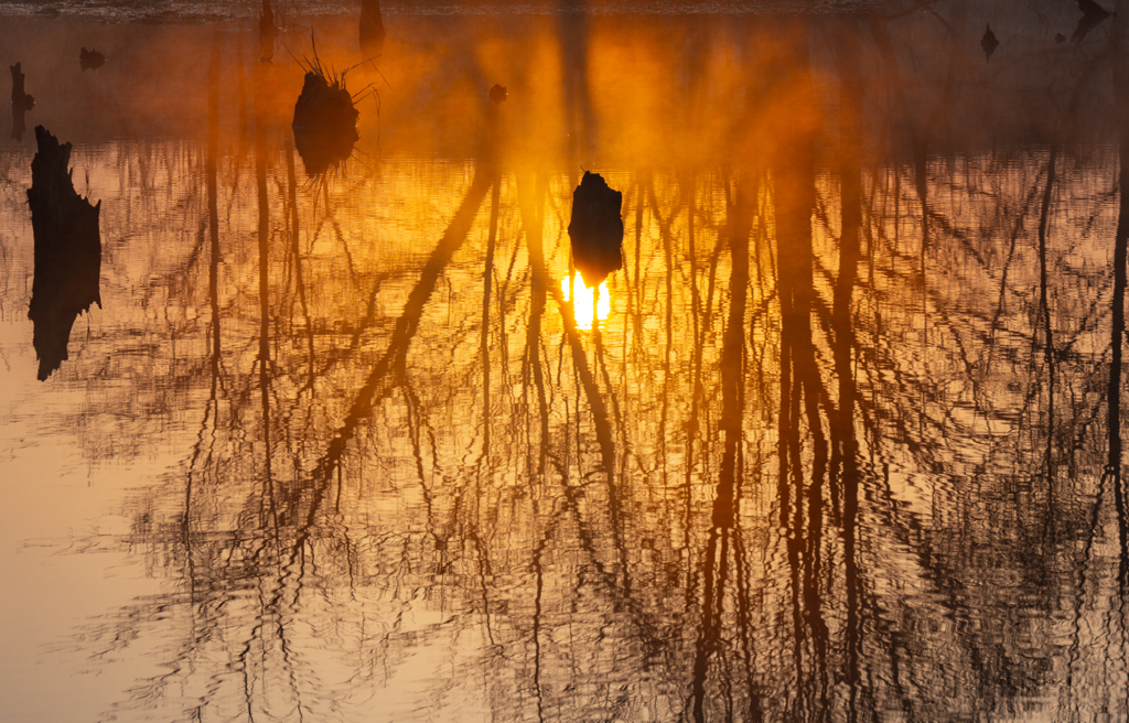 reflection
