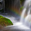Moss rainbow
