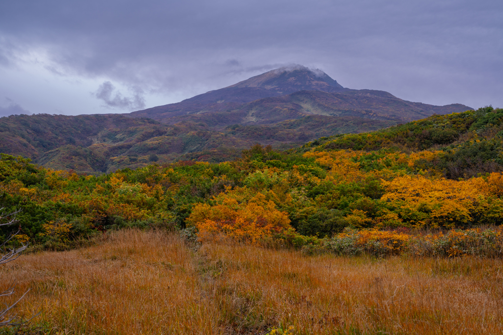 Autumn colors
