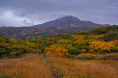 Autumn colors