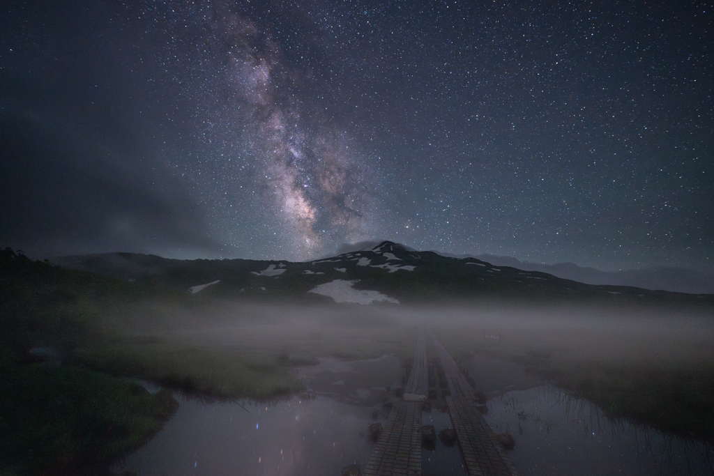 Late night marshland