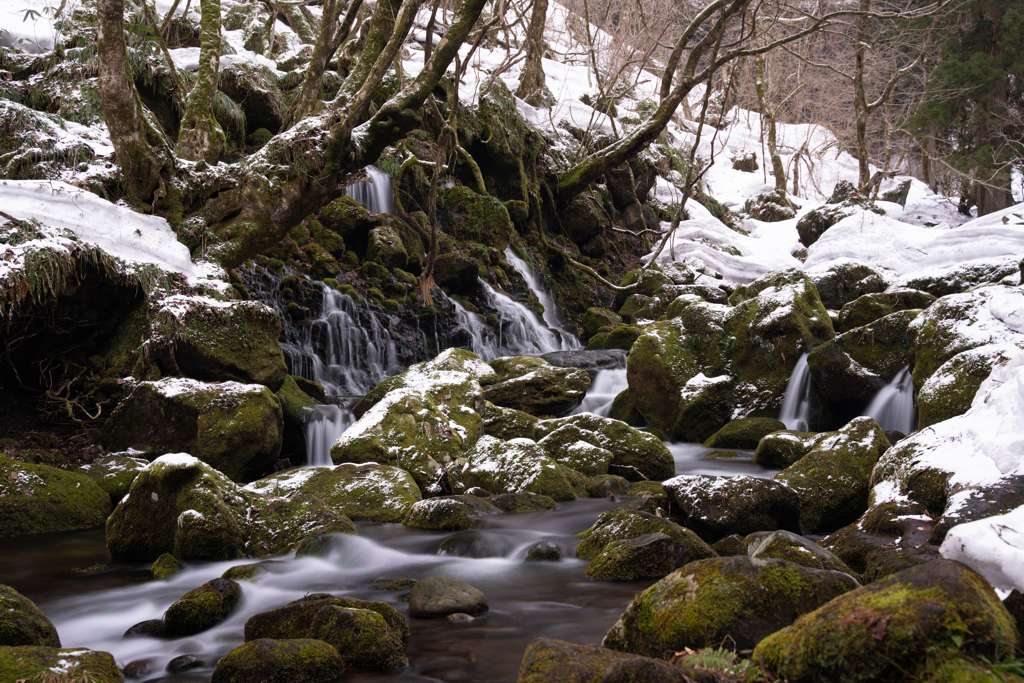 Moss waterfall