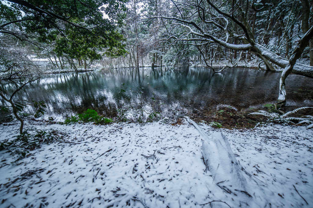 Blue pond