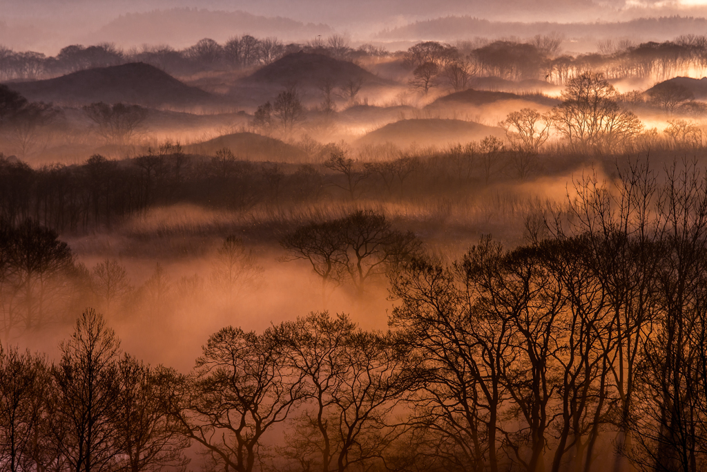 Spring Morning