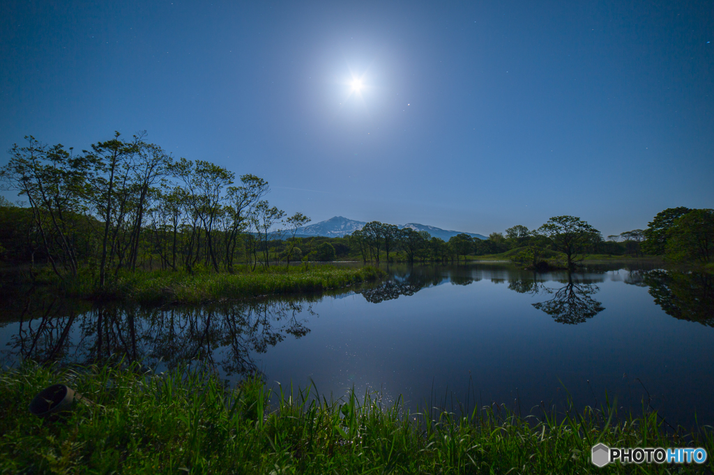 Blue moonlit night