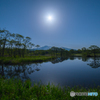 Blue moonlit night