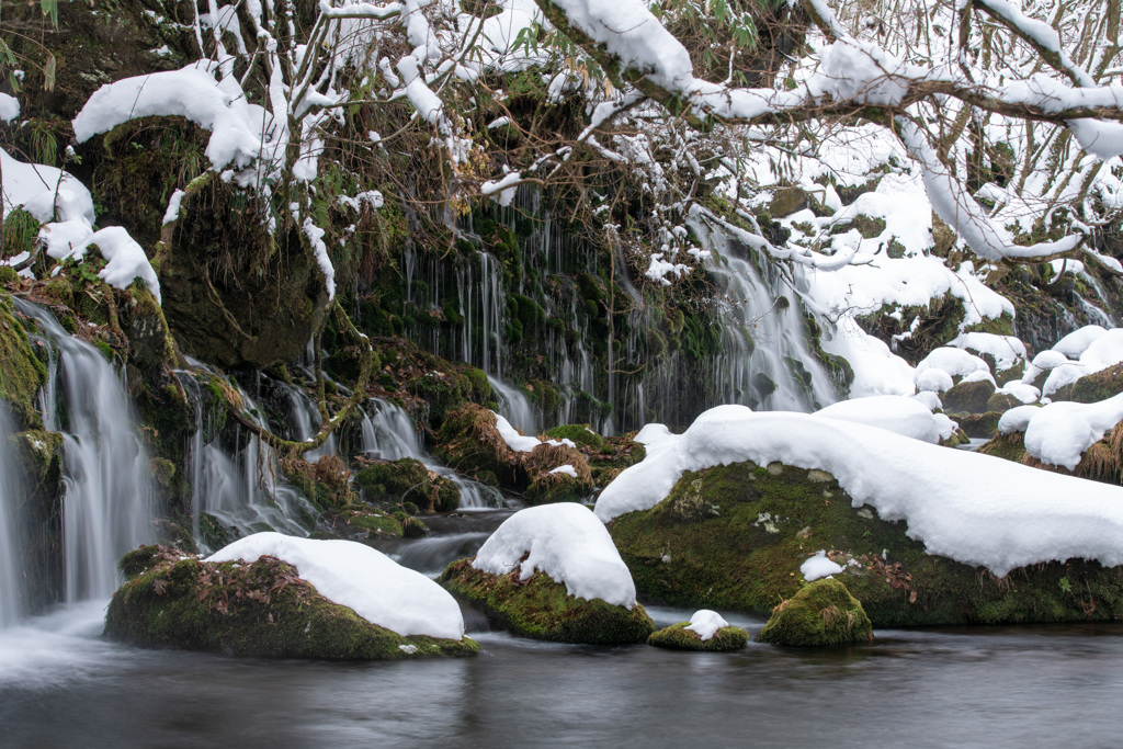 Winter scenery