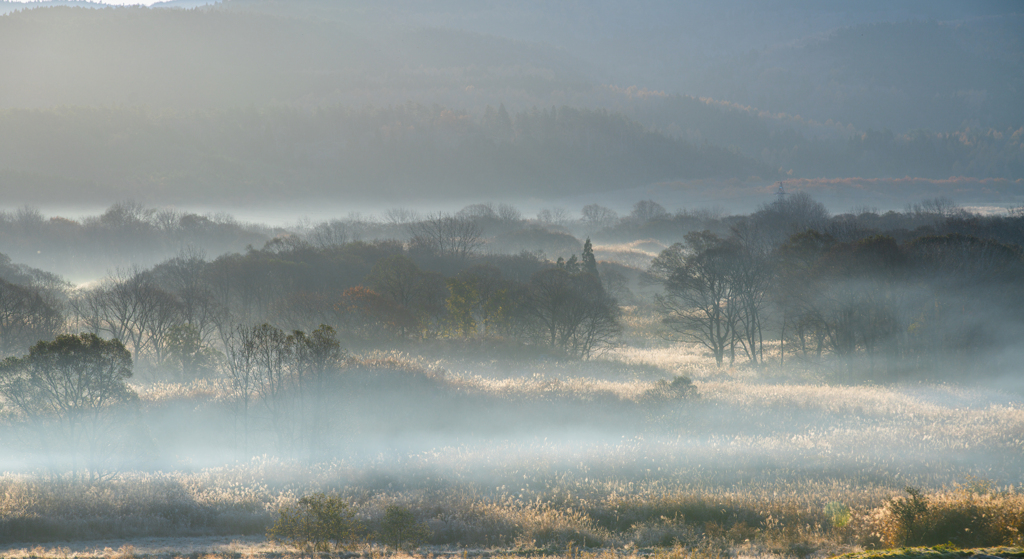 Misty morning