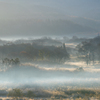 Misty morning