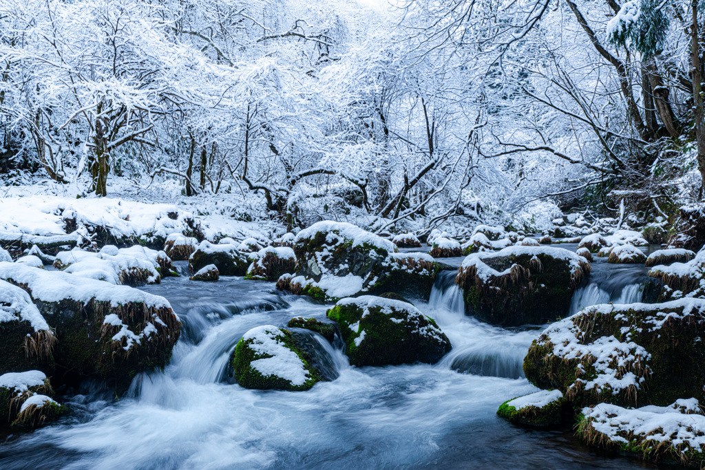 Spring snow
