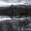 Monochromatic view