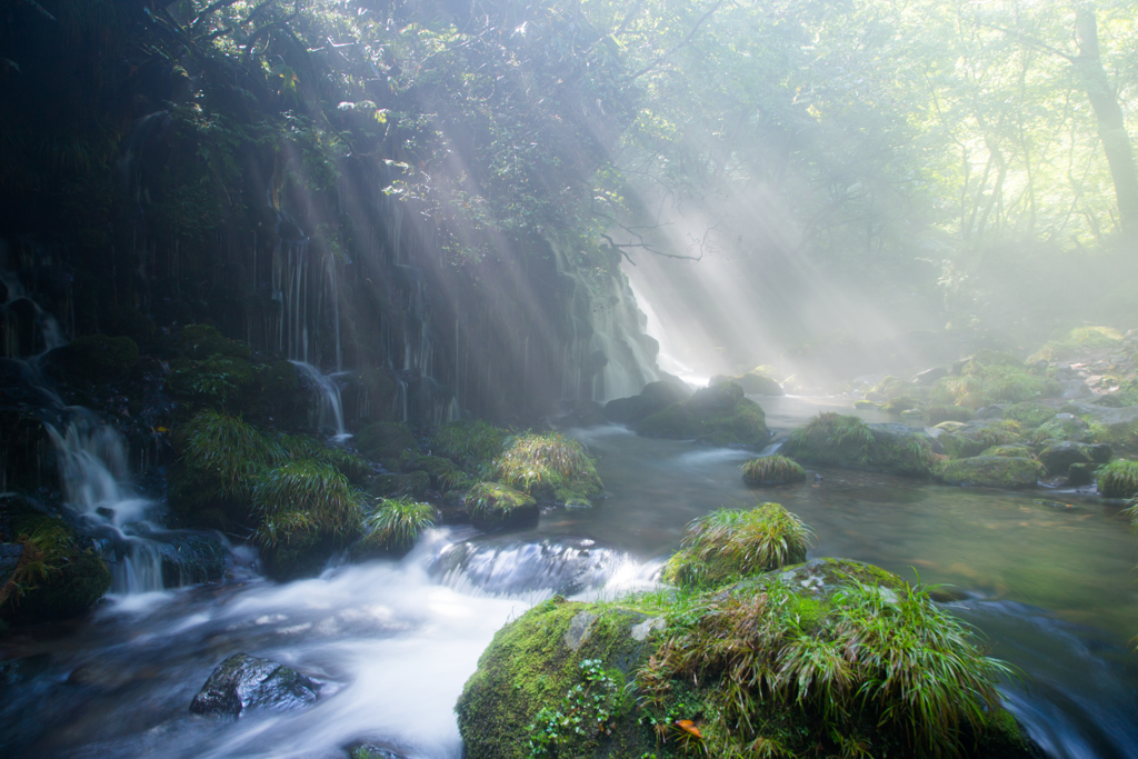 Morning light