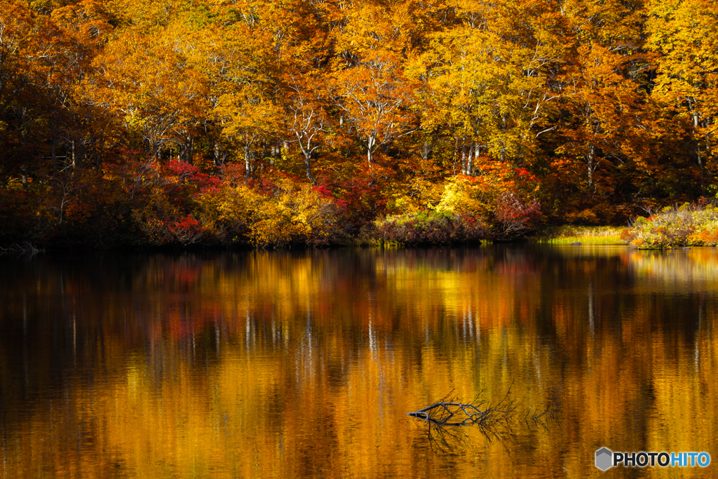 Lake autumn ～ Turumaike