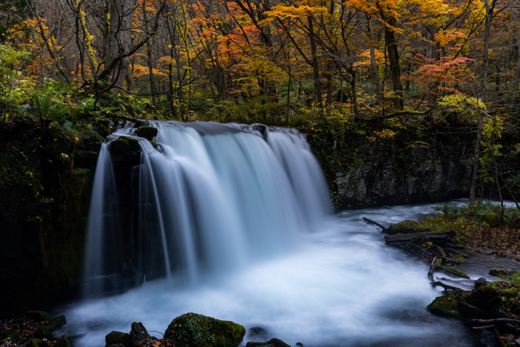 Late autumn Oirase