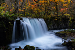 Late autumn Oirase