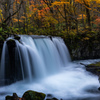Late autumn Oirase