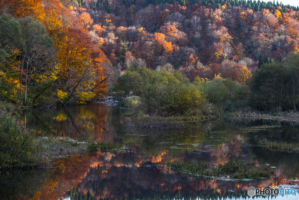 Autumn scene ～ Hottai