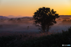 Autumn  ~ Toushi morning