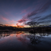 Morning of thin ice