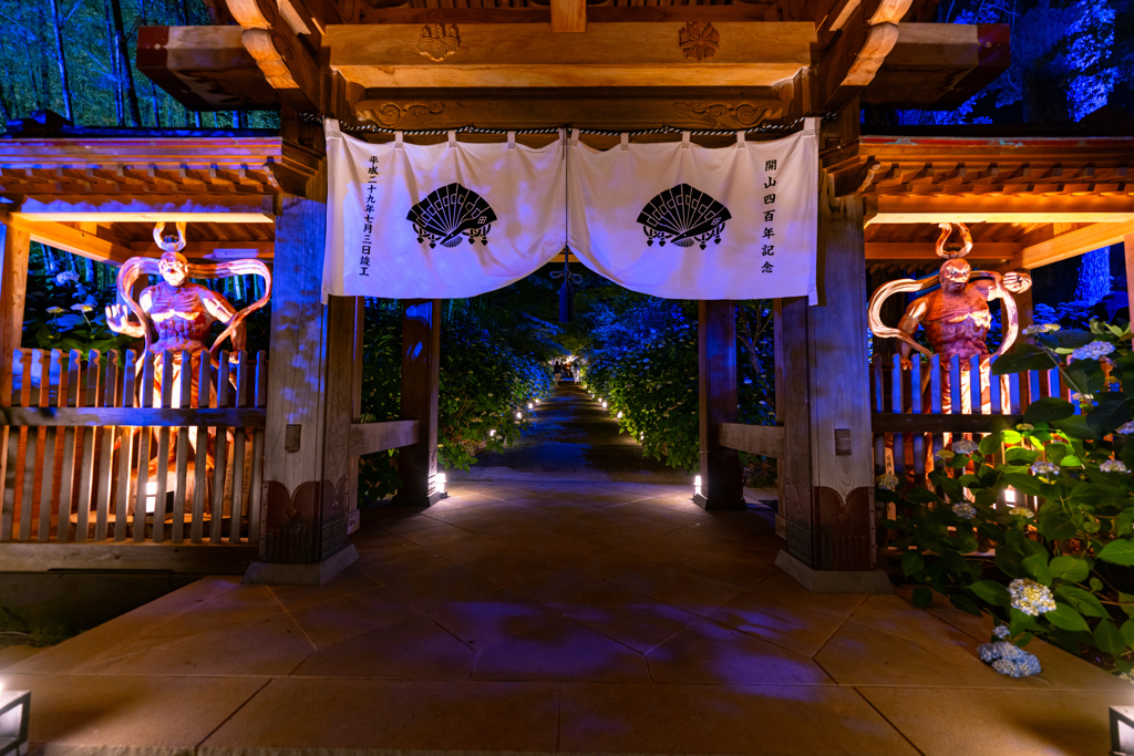 Hydrangea Temple