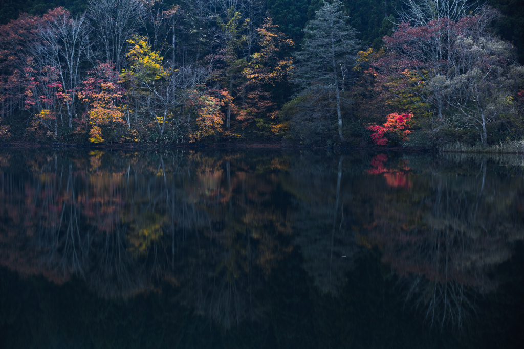 Lakeside